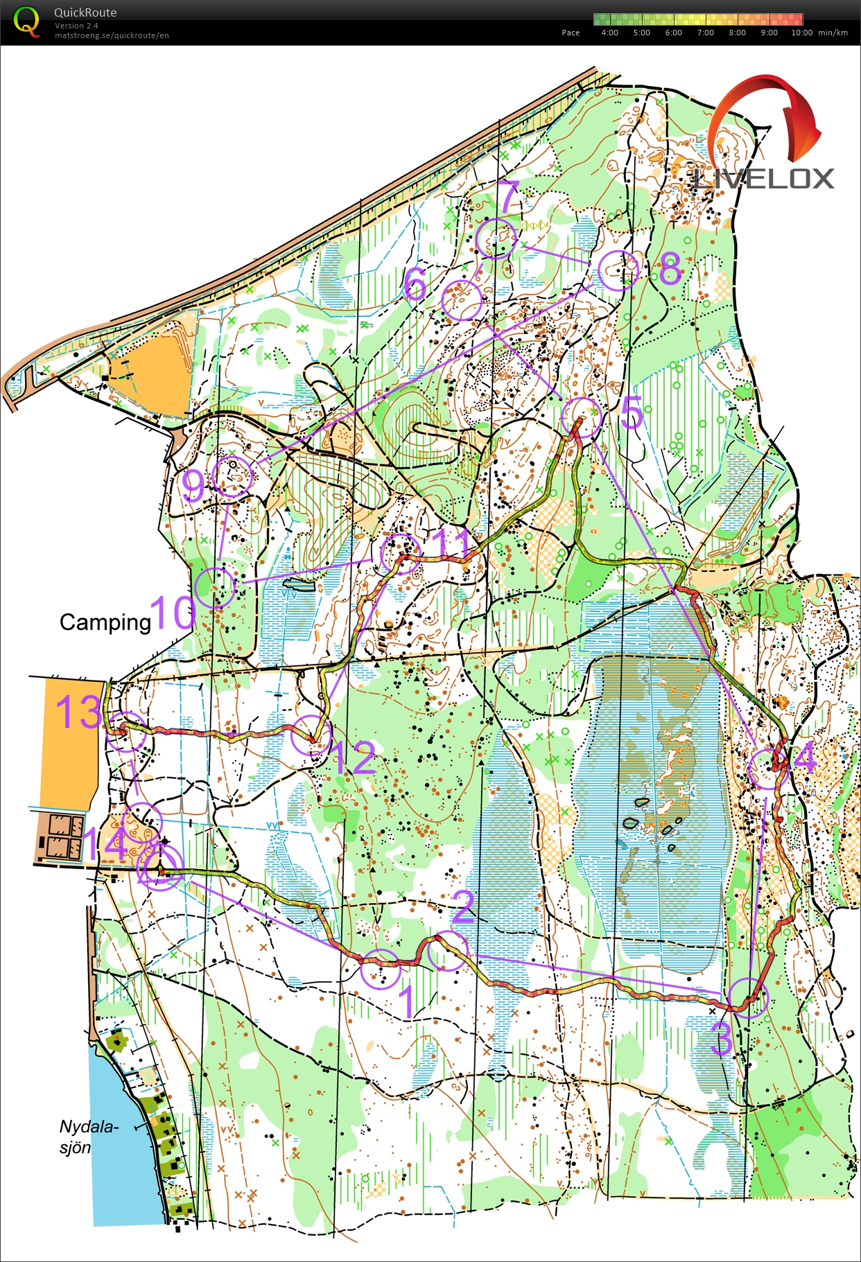 O-økt i Umeå (2024-06-13)