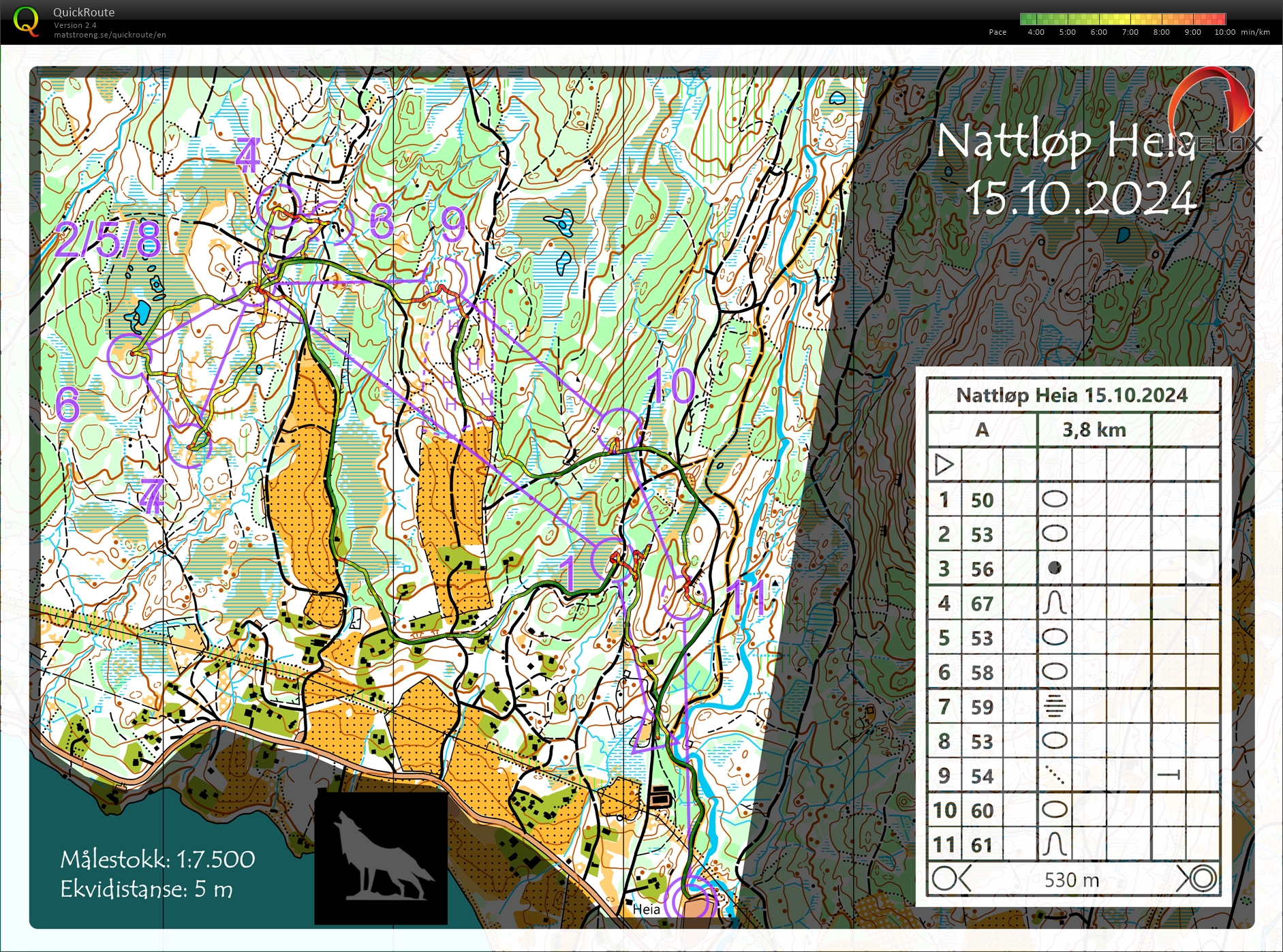 Nattløp Heia (15.10.2024)