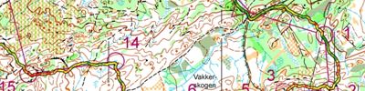 NM mellom 2016, H21 som trening